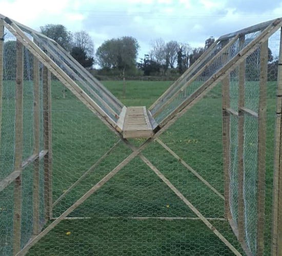 Video: Man builds crow trap to combat bird attacks on lambs
