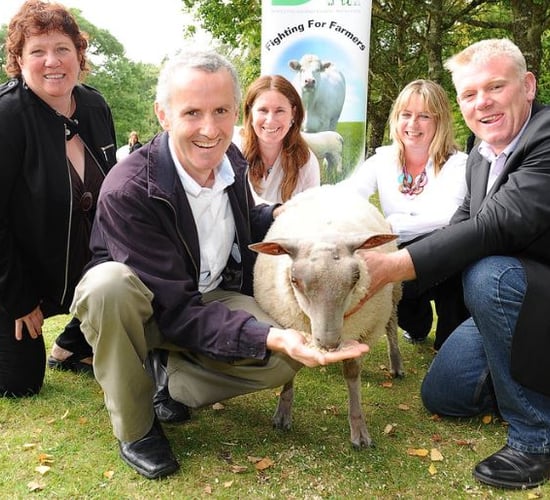 'We need to look at alternatives for family farms' - Green Party's Ciarán Cuffe