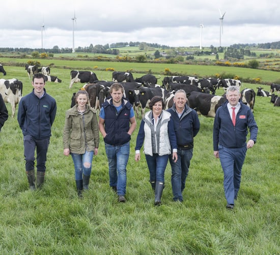 LESS is more: Secrets to success for 'Green' dairy farmers