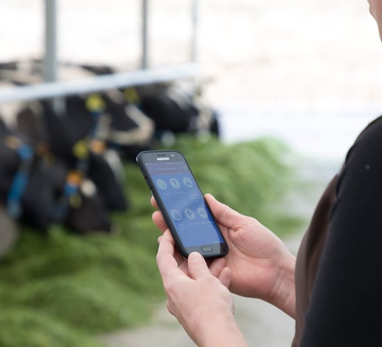 Could the MooMonitor+ be the answer to less antibiotic usage on farms?