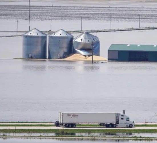 Grain price: Extreme weather in US continues to lead markets