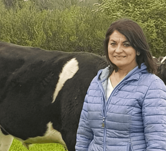 Healy-Eames: Convergence 'unfair' to productive farmers