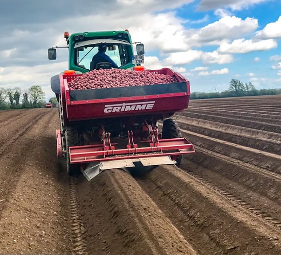 Minister plans funding of €3 million for domestic seed sector