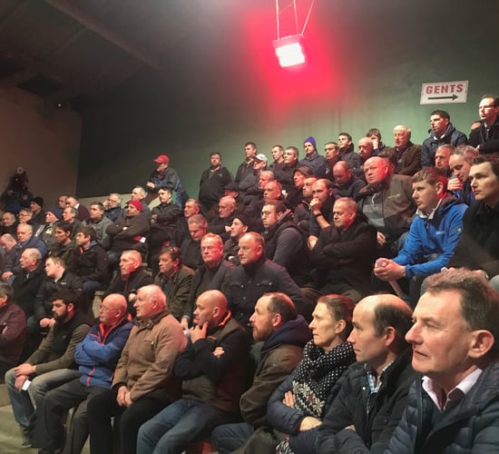 Beef Plan circulates message 'urging' members who to vote for in EU elections
