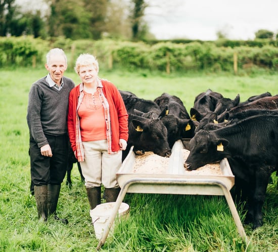 M&S awards recognise best of Northern Irish agriculture