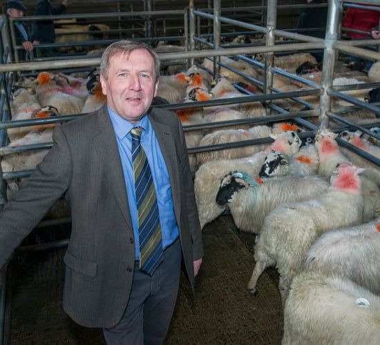 What is available to the sheep and suckler sectors to help them survive?