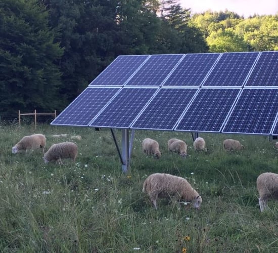 410 applications under TAMS for solar PV
