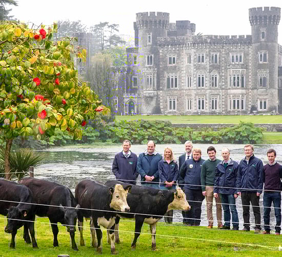'Advancing knowledge for an evolving industry' - theme of DairyBEEF2019