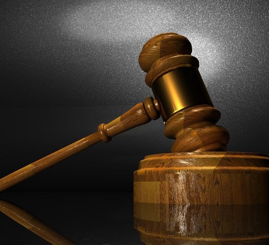 Court: Armagh company convicted on animal transport charge