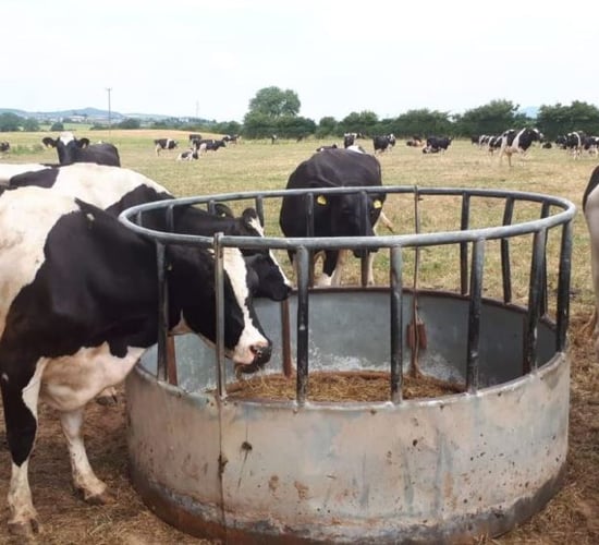 Dairy farm incomes drop by staggering 31% in 2018