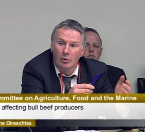 'Monumental folly': ICSA labels Mercosur 'wrong deal at wrong time'