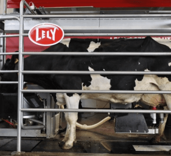 Lely to host 2 robotic open days this week