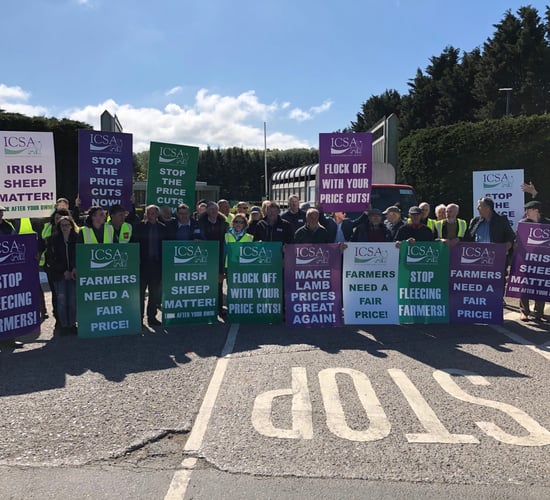 'You don't know where or when but we could strike again' - ICSA sheep protest