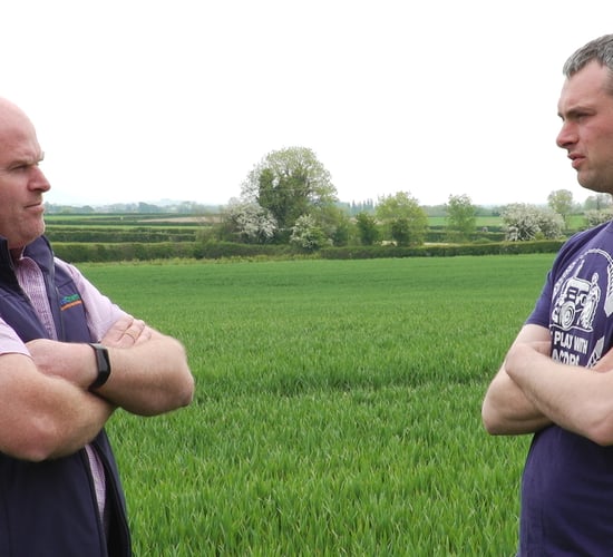 CROPS WATCH: Reducing fungicides, housing bees and keeping plants healthy