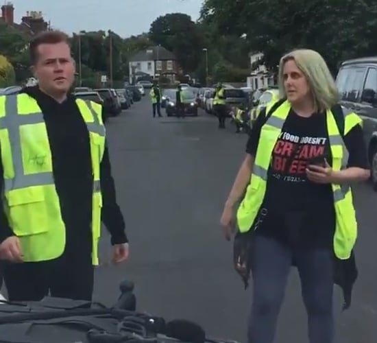 Activists target UK farmer bringing sheep to factory