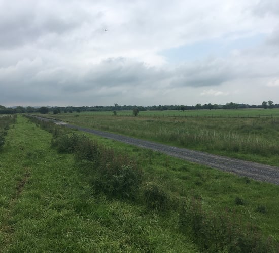 'The first rule is not to blaggard the man that owns the land in this country'