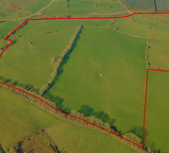 Kilbaylet land 'suited to all types of farming' for sale in lots