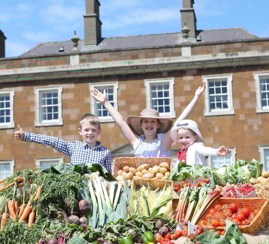 Fingal summer show to combine agriculture and an 'unforgettable experience'