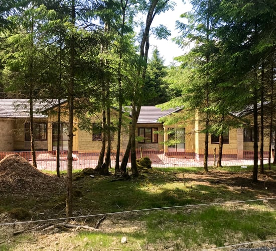 Into the woods: Unearthing the history of Longford's Center Parcs site