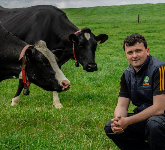 Young dairy farmer set to lose 14ac to new N5 route in Co. Roscommon