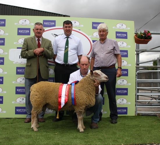 Charollais Sheep Society in central move for premier show