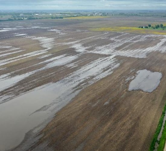 Where did US corn and soybean figures finish?