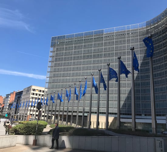 Irish MEP urges Poland and Hungary to back down in EU budget row