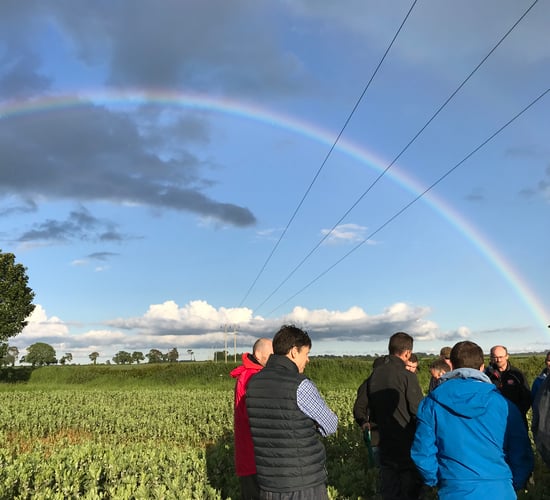 Tillage focus: Conserving the soil and time in Co. Carlow