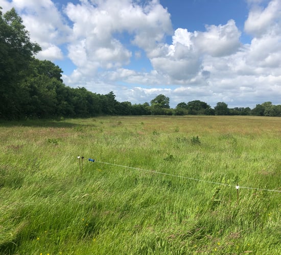 28ac Prosperous 'good quality land' for auction