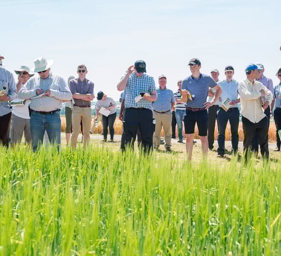 June...a month to see new advances in the tillage fields