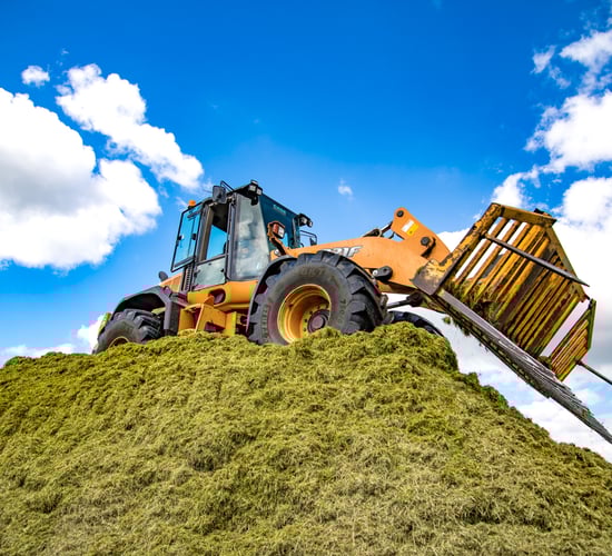 Video: 'Mounting concerns' from contractors as silage pits go higher