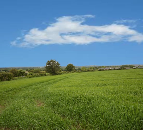 10ac lands in Co. Wexford enjoy coastal and mountain views