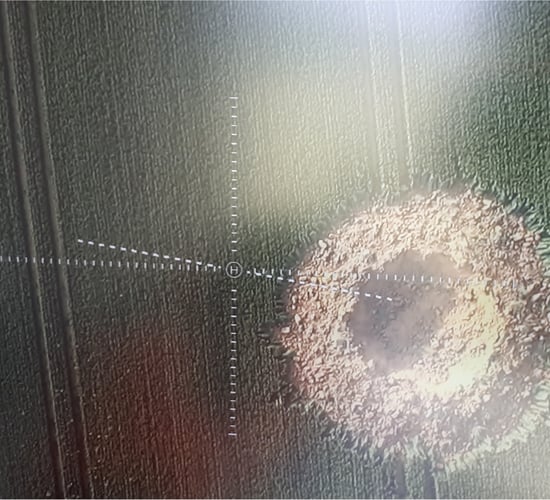 World War II bomb explodes in field - leaving 10m crater