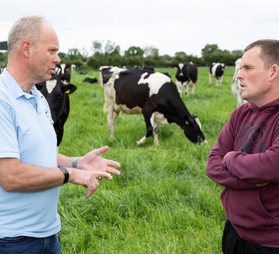 IBR vaccination is key for high-yielding 8,000L dairy herd in Tipperary