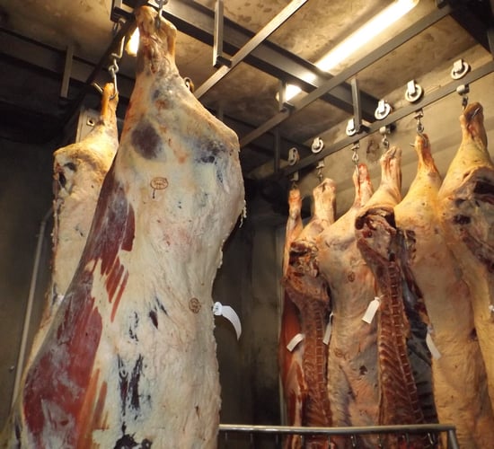 Gallery: Traditional Irish abattoir to go under the hammer in Co. Offaly