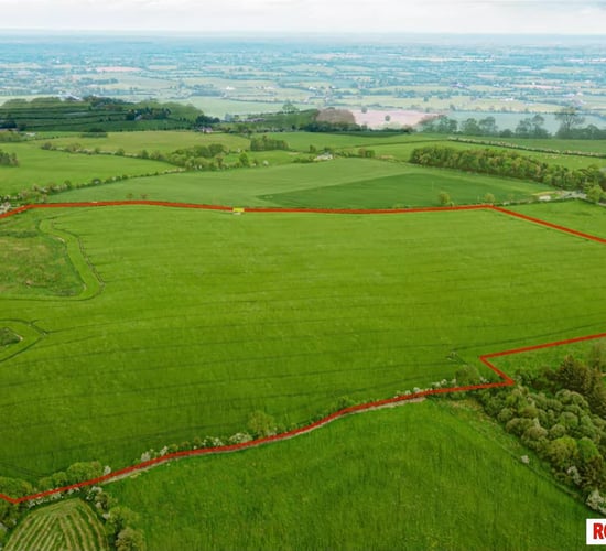 Video: 73ac parcel in a 'highly desirable location' to go for auction