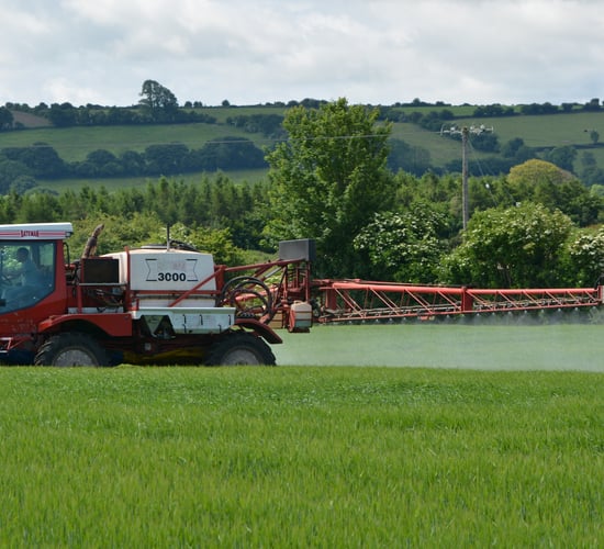 Rain will push spring barley to final fungicide timing