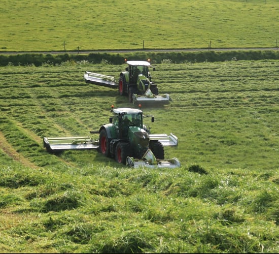 Second cuts commence as weather window opens