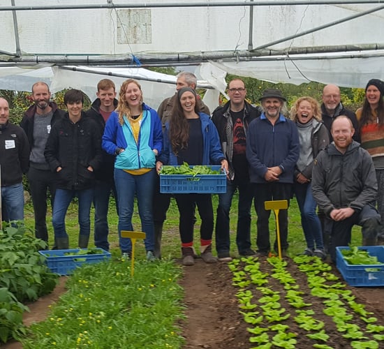 Could you learn from some of Ireland's most creative farmers?