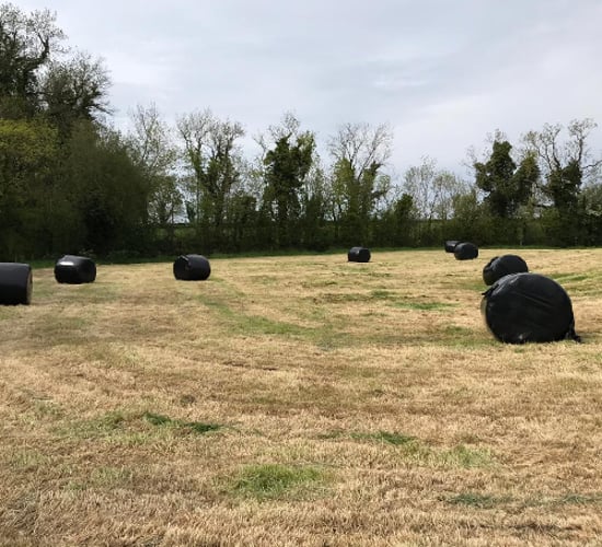 Green Acres: Harvesting first-cut silage and taking out surplus paddocks