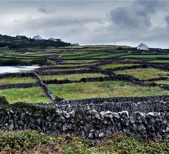 Fears draft transport plan would discourage rural housing via tax