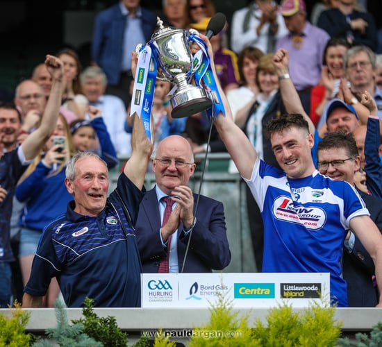 Time to 'un-Laois': Suckler farmer hurling captain's sensational team win