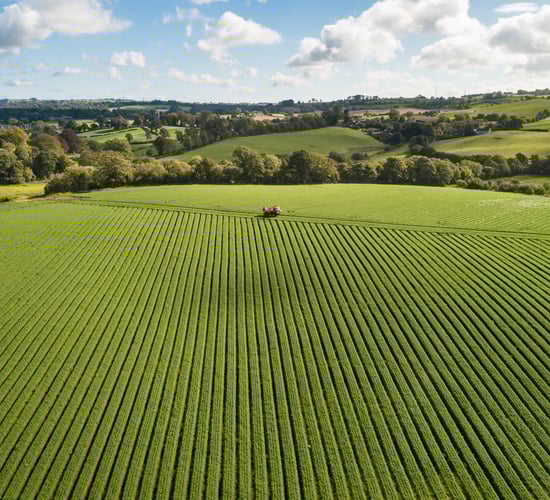 Using satellite data to enhance global food security