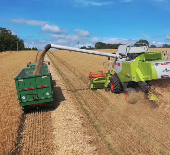 Watch: Harvest in full swing in south Tipperary
