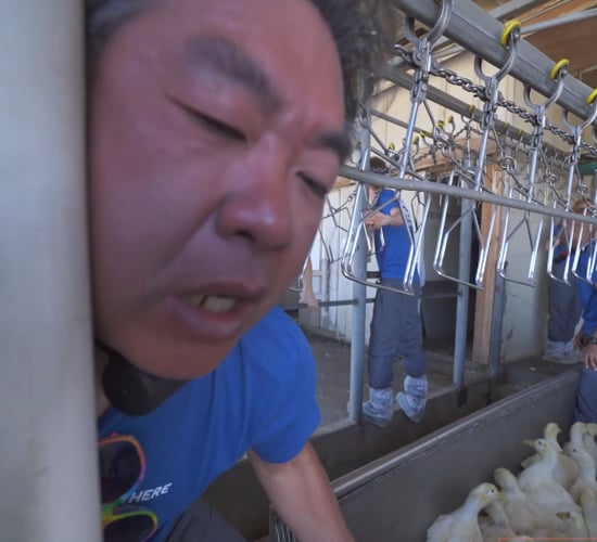 Video: Activist almost killed after locking neck to factory line