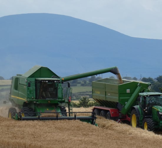 Grain price: EU harvest looking good; no enthusiasm in the market