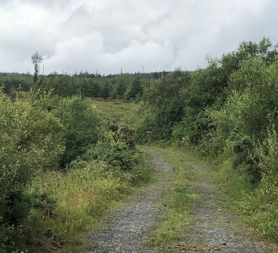 Updated: Missing Monaghan man safely found