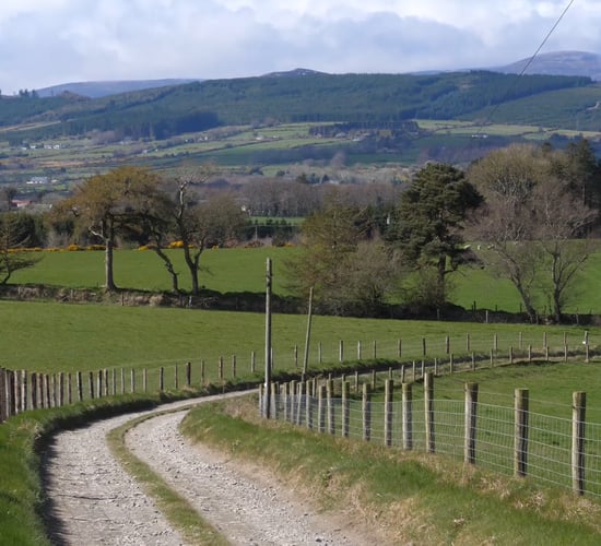 Budget 2020: Farmer confusion over impact of mooted stamp duty hike