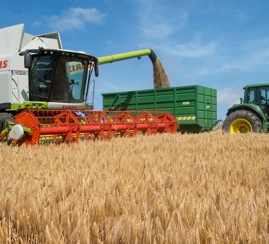 2019 tillage incomes estimated to be 17% lower than the year before