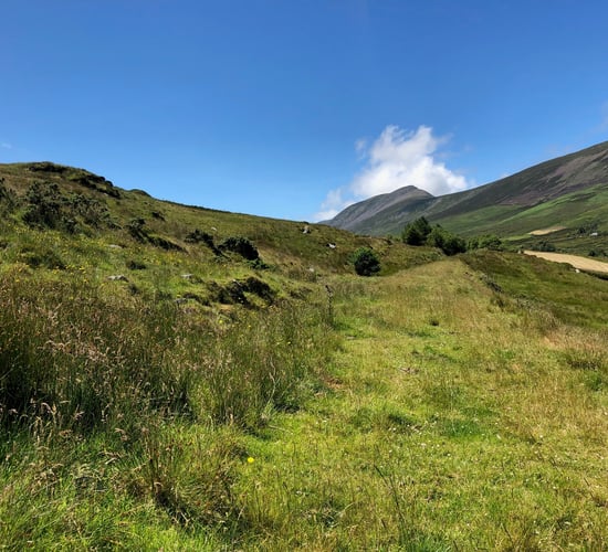INHFA claims greenways 'running out of steam' due to less users